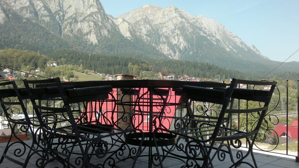 Casa De Vacanta Elena Синая Экстерьер фото